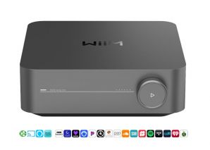 WiiM AMP Pro Streaming Vollverstärker
