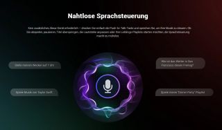 WiiM Remote 2 Sprachfernbedienung