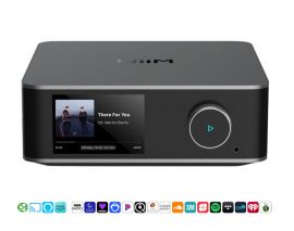 WiiM Ultra Netzwerk Streamer